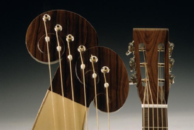 Harp Guitar