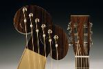 Harp Guitar